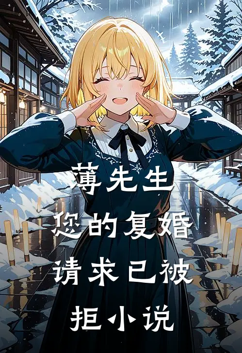 薄先生，您的复婚请求已被拒小说