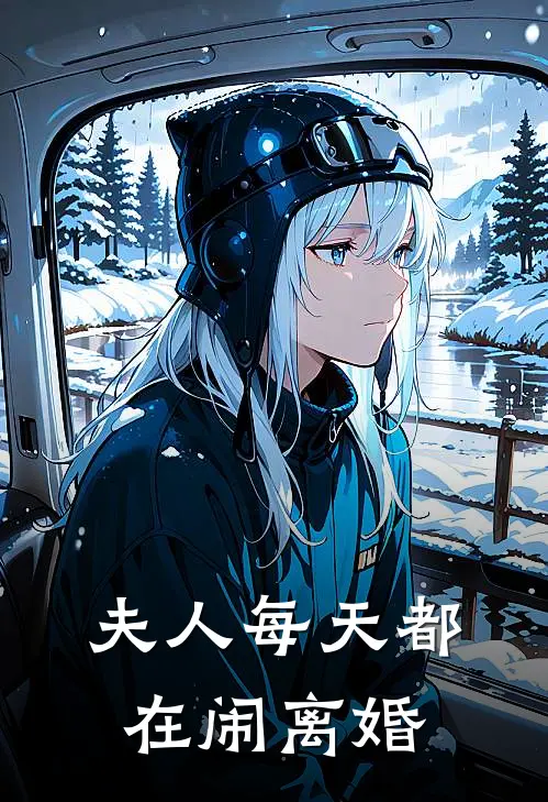 夫人每天都在闹离婚