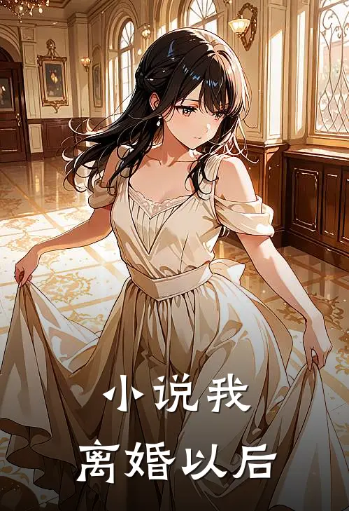 小说我，离婚以后
