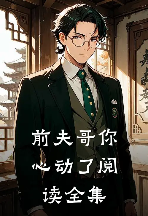 前夫哥你心动了阅读全集