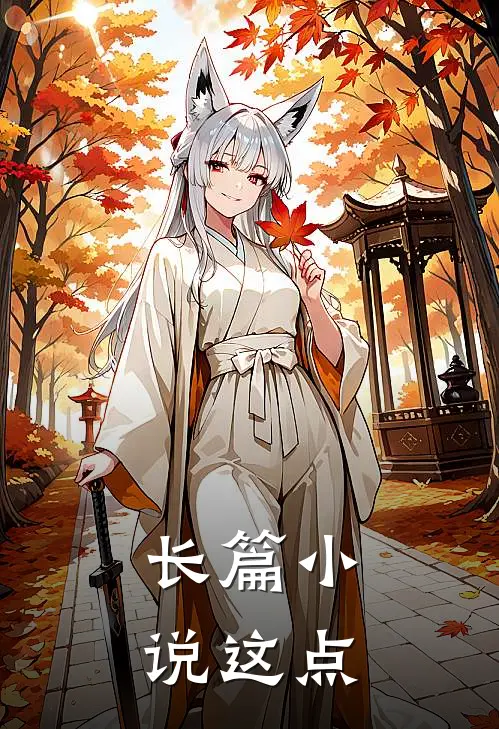 长篇小说这点