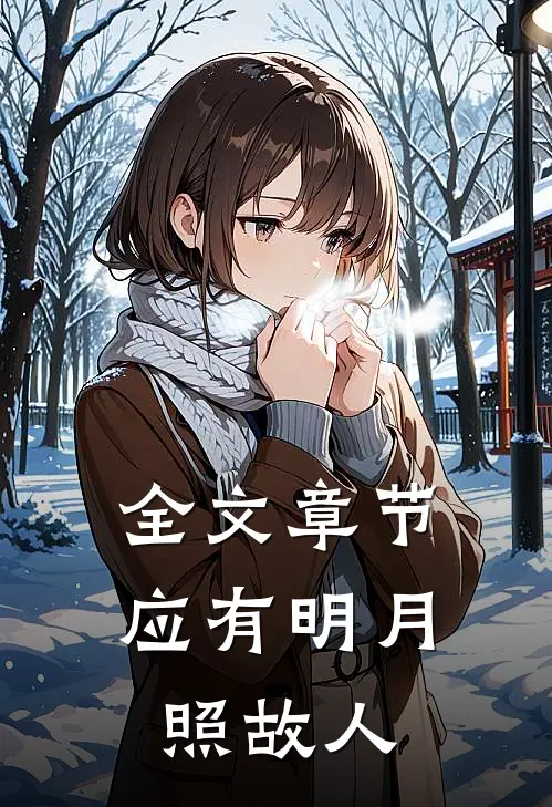 全文章节应有明月照故人