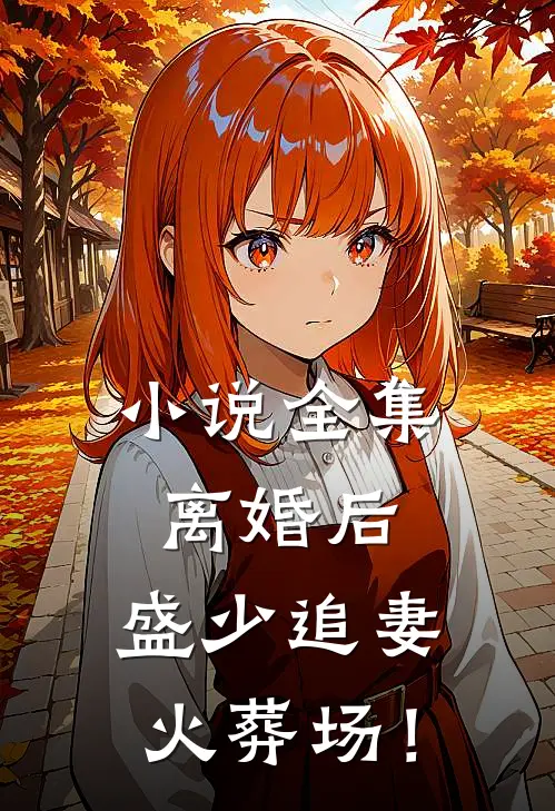 小说全集离婚后，盛少追妻火葬场！