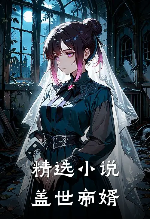 精选小说盖世帝婿