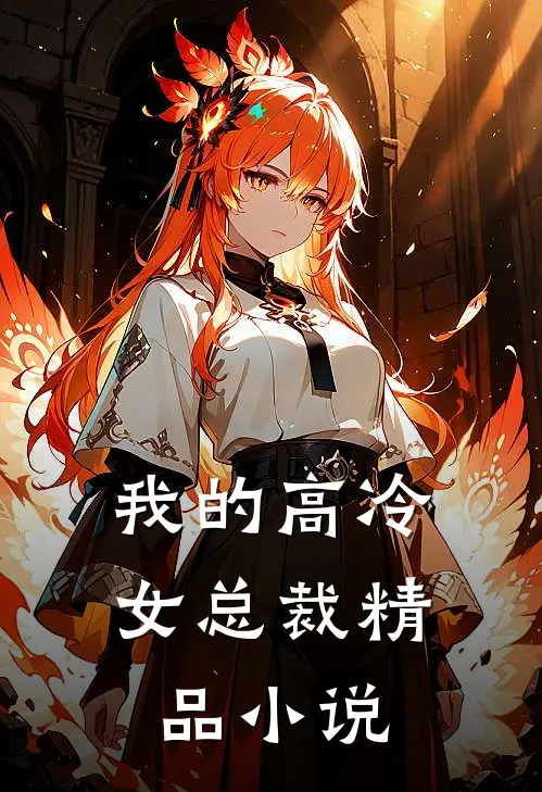 我的高冷女总裁精品小说