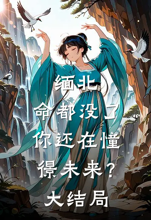 缅北：命都没了，你还在憧憬未来？大结局
