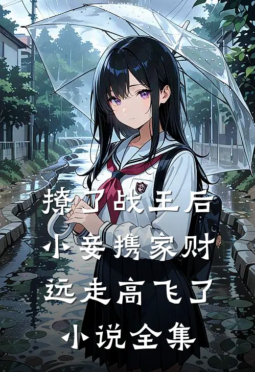 撩了战王后，小妾携家财远走高飞了小说全集