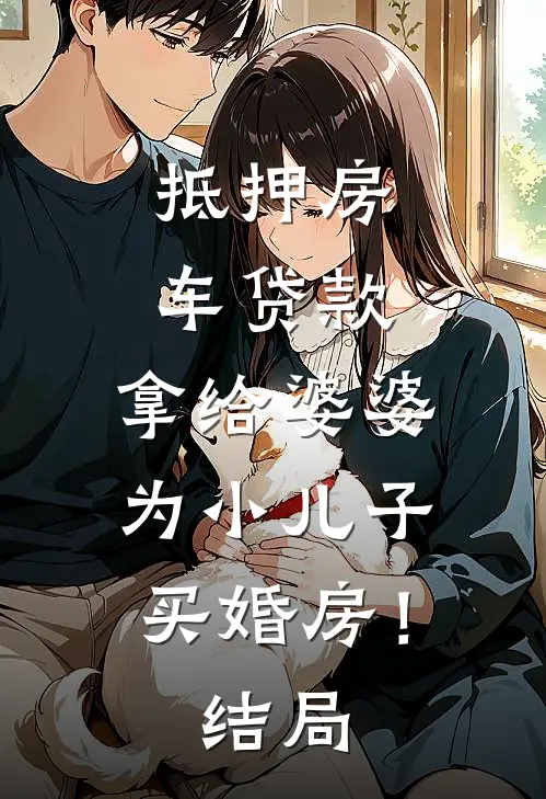 抵押房车贷款，拿给婆婆为小儿子买婚房！结局