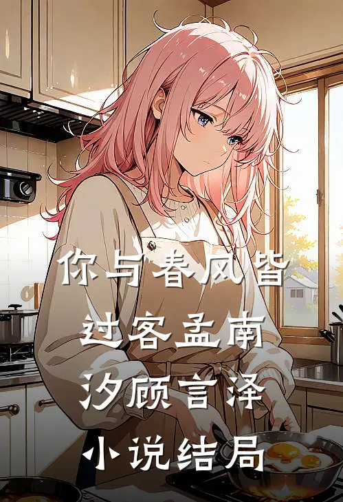 你与春风皆过客孟南汐顾言泽小说结局