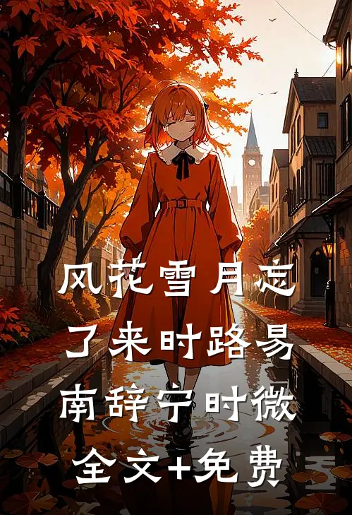 风花雪月忘了来时路易南辞宁时微全文+免费