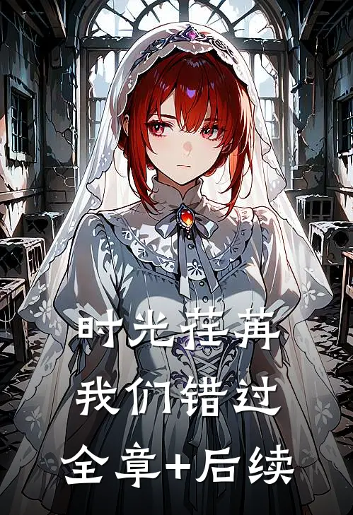 时光荏苒，我们错过:全章+后续