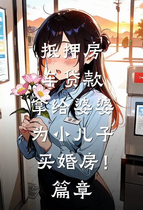 抵押房车贷款，拿给婆婆为小儿子买婚房！篇章