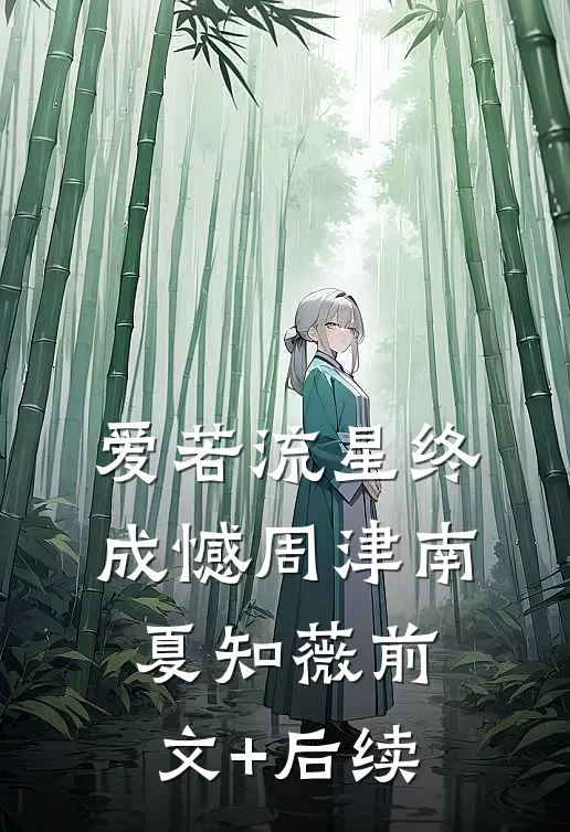 爱若流星终成憾周津南夏知薇前文+后续