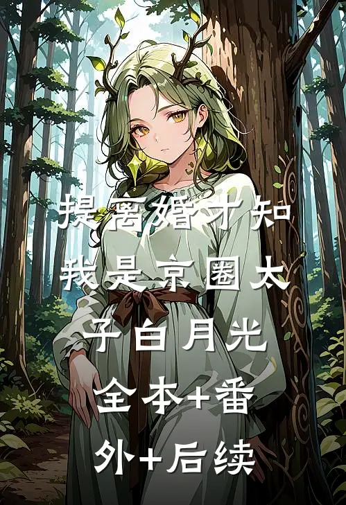 提离婚才知，我是京圈太子白月光:全本+番外+后续