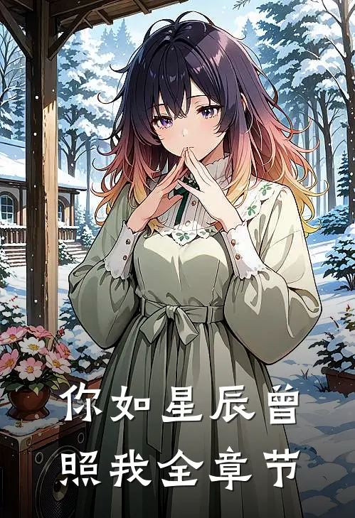 你如星辰曾照我全章节