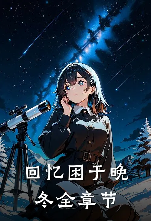回忆困于晚冬全章节