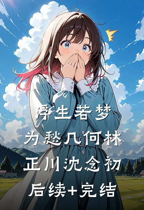 浮生若梦，为愁几何林正川沈念初后续+完结