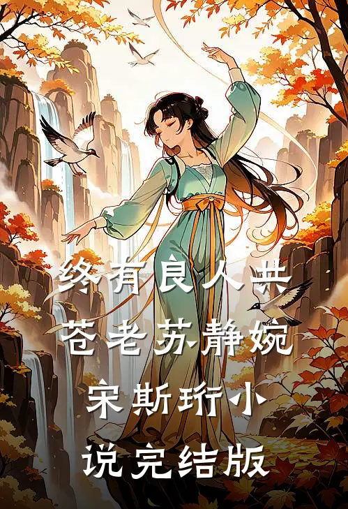 终有良人共苍老苏静婉宋斯珩小说完结版