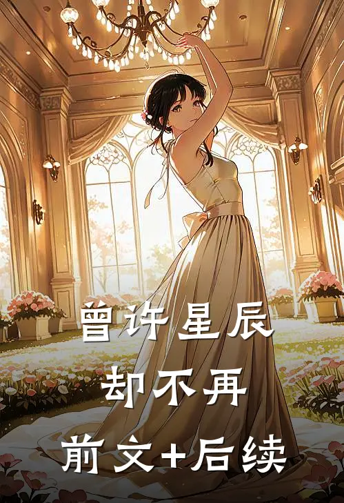曾许星辰却不再:前文+后续