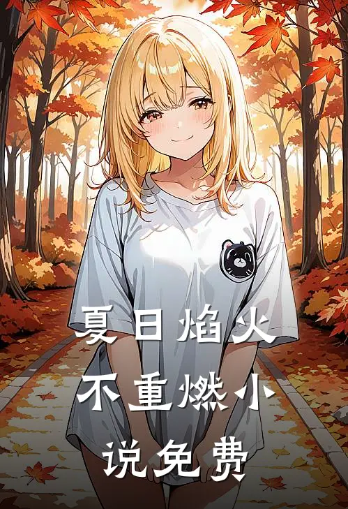 夏日焰火不重燃小说免费