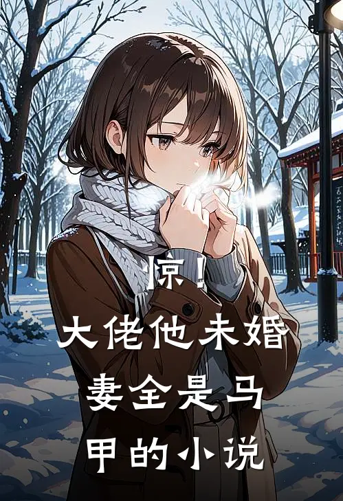 惊！大佬他未婚妻全是马甲的小说