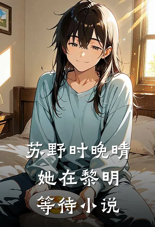 苏野时晚晴她在黎明等待小说