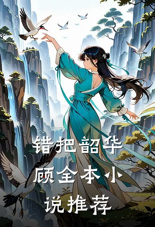 错把韶华顾全本小说推荐