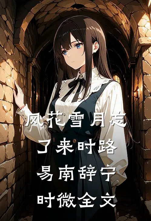 风花雪月忘了来时路易南辞宁时微全文