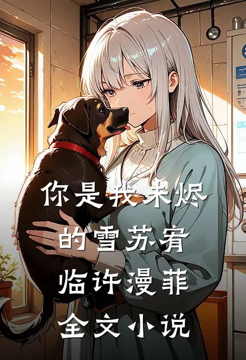 你是我未烬的雪苏宥临许漫菲全文小说