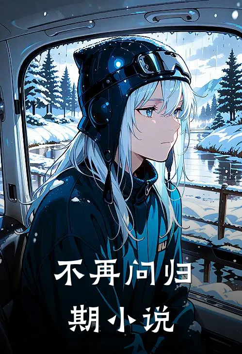 不再问归期小说