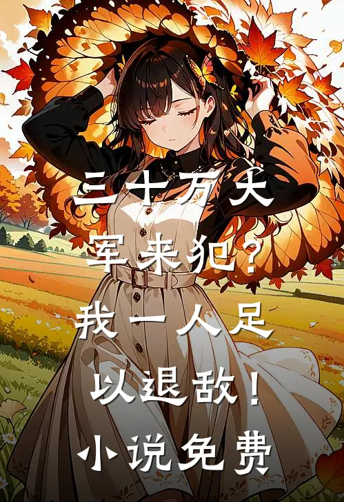 三十万大军来犯？我一人足以退敌！小说免费