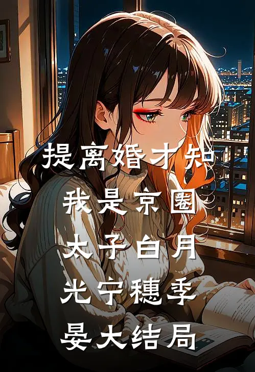 提离婚才知，我是京圈太子白月光宁穗季晏大结局