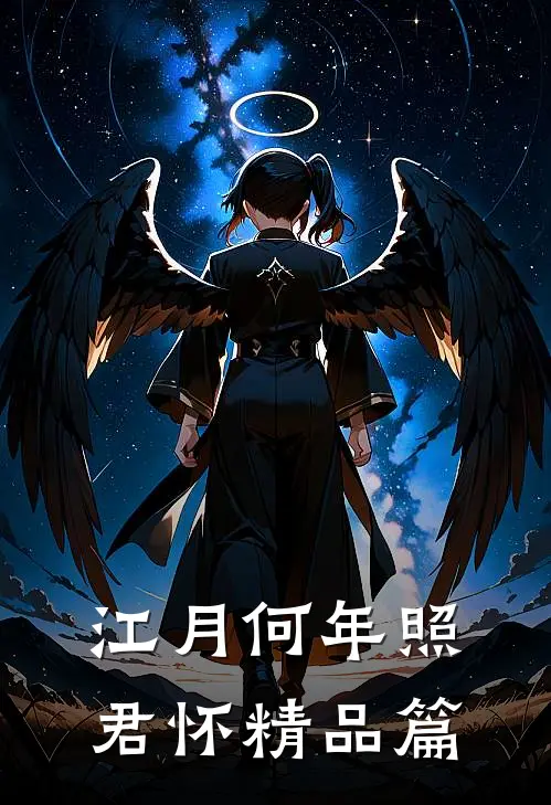 江月何年照君怀精品篇