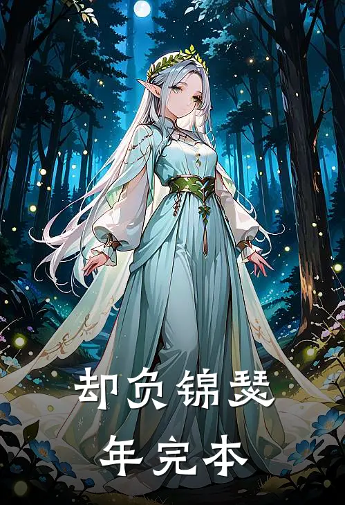 却负锦瑟年完本