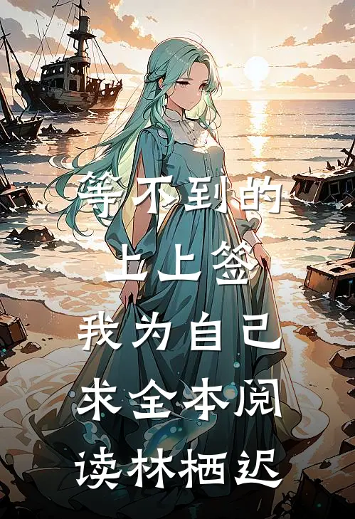 等不到的上上签,我为自己求全本阅读林栖迟