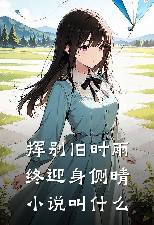 挥别旧时雨，终迎身侧晴小说叫什么