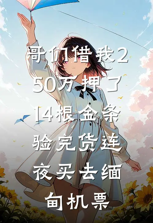 哥们借我250万押了14根金条,验完货连夜买去缅甸机票