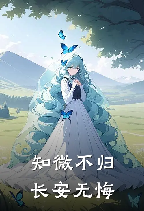 知微不归，长安无悔