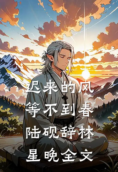 迟来的风，等不到春陆砚辞林星晚全文