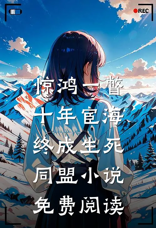 惊鸿一瞥：十年宦海，终成生死同盟小说免费阅读