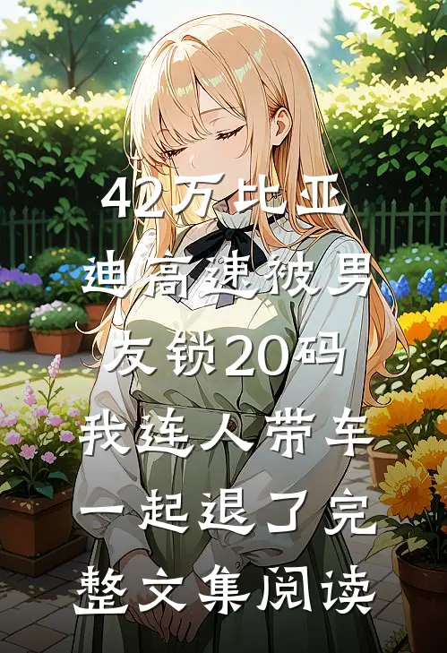 42万比亚迪高速被男友锁20码，我连人带车一起退了完整文集阅读