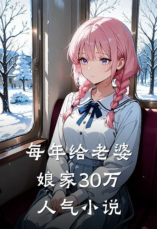 每年给老婆娘家30万人气小说