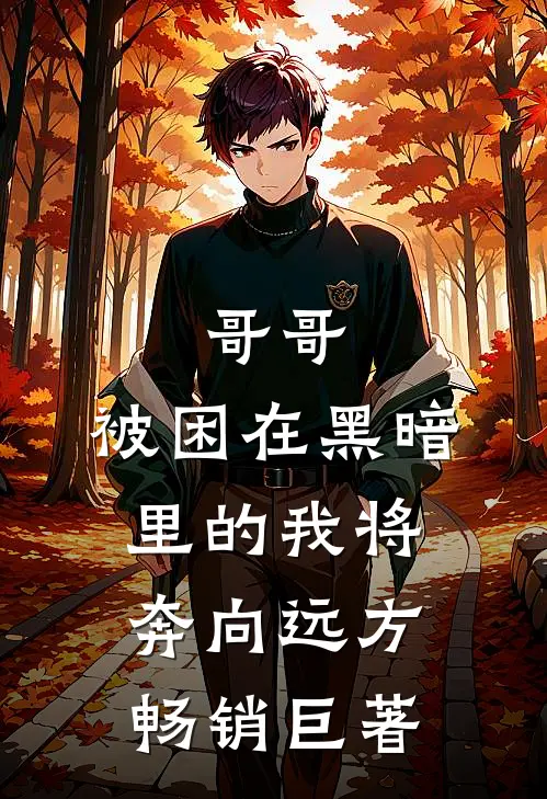 哥哥，被困在黑暗里的我将奔向远方畅销巨著