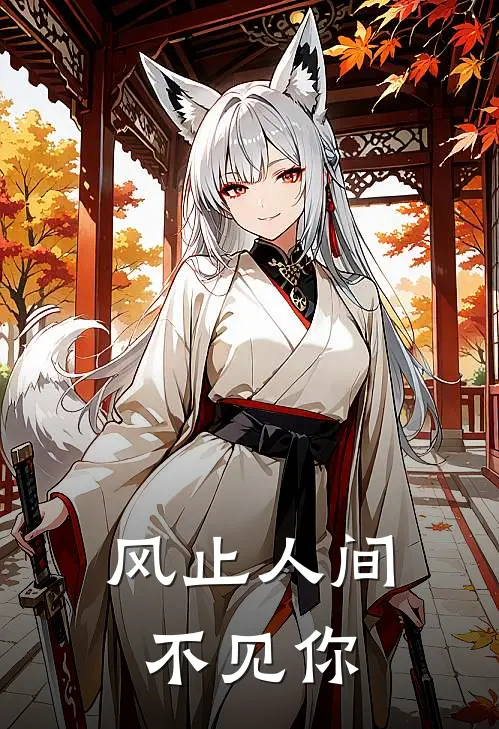 风止人间不见你