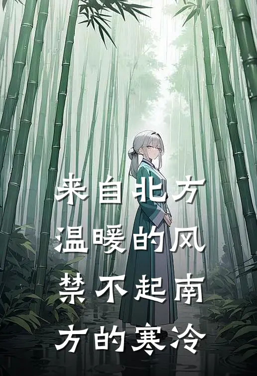 来自北方温暖的风，禁不起南方的寒冷