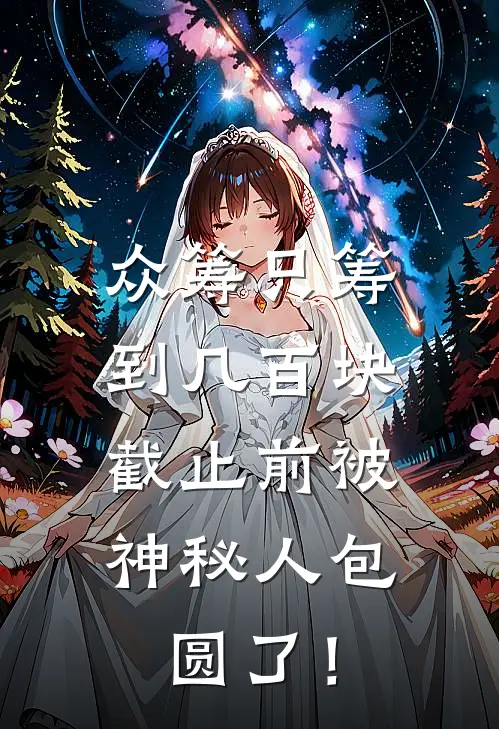 众筹只筹到几百块,截止前被神秘人包圆了!
