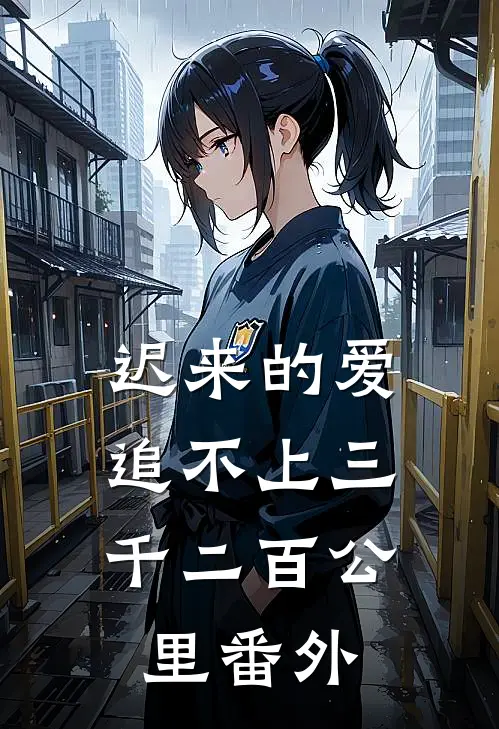 迟来的爱，追不上三千二百公里番外