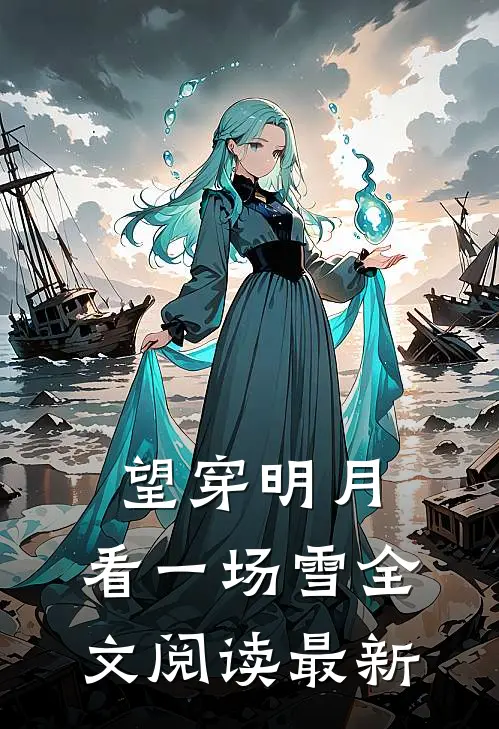 望穿明月，看一场雪全文阅读最新