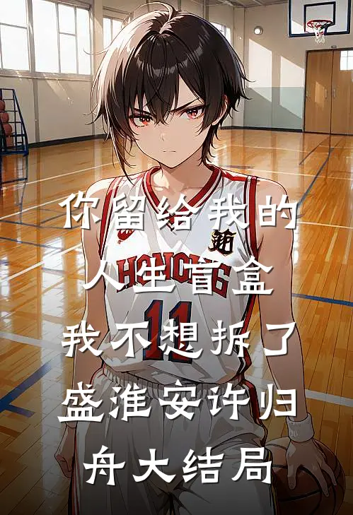 你留给我的人生盲盒，我不想拆了盛淮安许归舟大结局