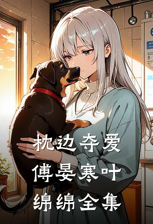 枕边夺爱傅晏寒叶绵绵全集